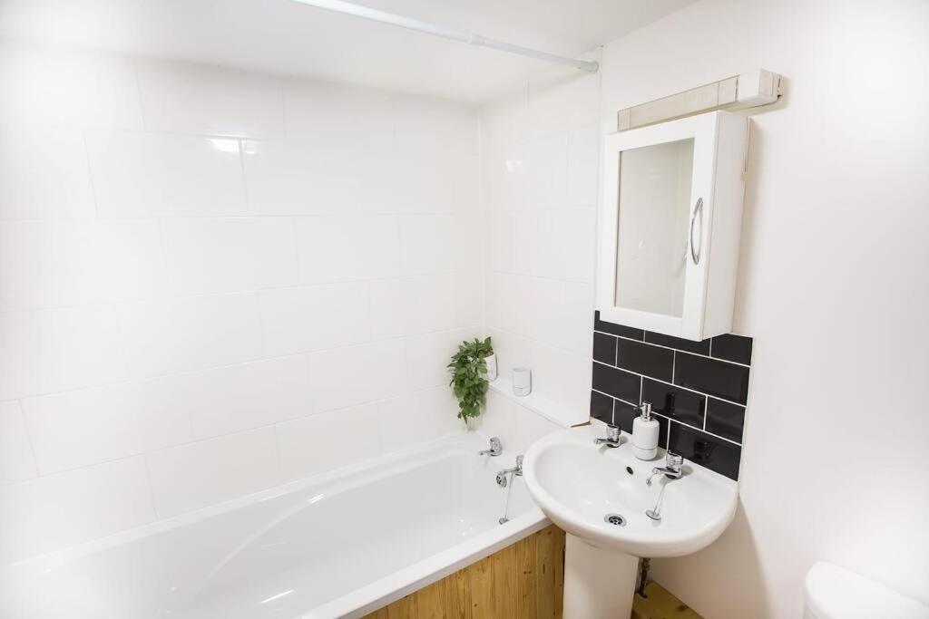 The Basement Apartment Exeter Bagian luar foto